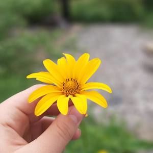 Meet your Posher, Diane